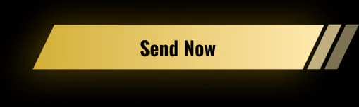Send Now